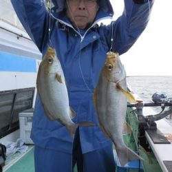 第二むつ漁丸 釣果