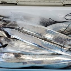 遊漁船 ニライカナイ 釣果