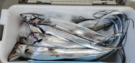 遊漁船 ニライカナイ 釣果