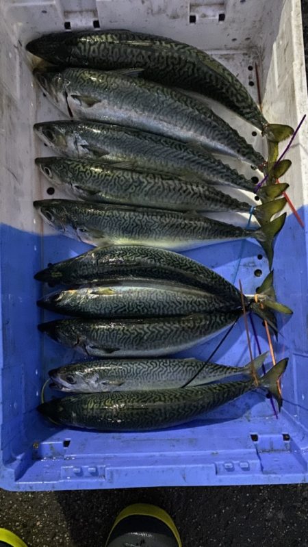 まるいち丸 ZERO-1 釣果