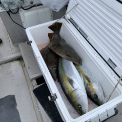 第八大安丸 釣果