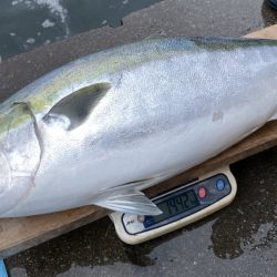 まるいち丸 ZERO-1 釣果