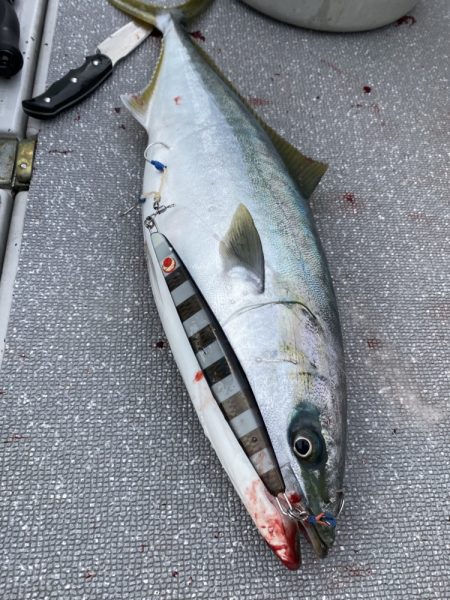 まるいち丸 ZERO-1 釣果