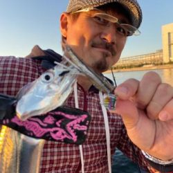 シーマジカル 釣果