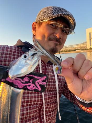 シーマジカル 釣果