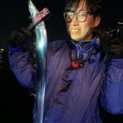 シーマジカル 釣果