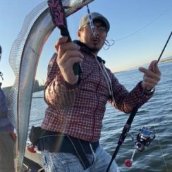 シーマジカル 釣果