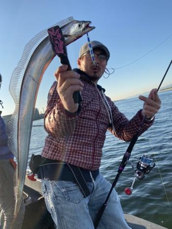 シーマジカル 釣果