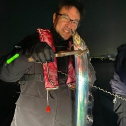 シーマジカル 釣果