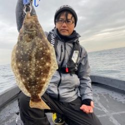 シーマジカル 釣果