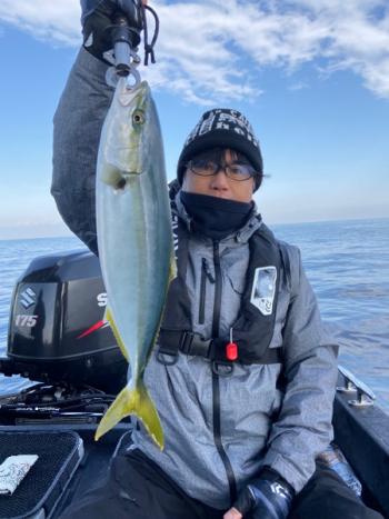 シーマジカル 釣果