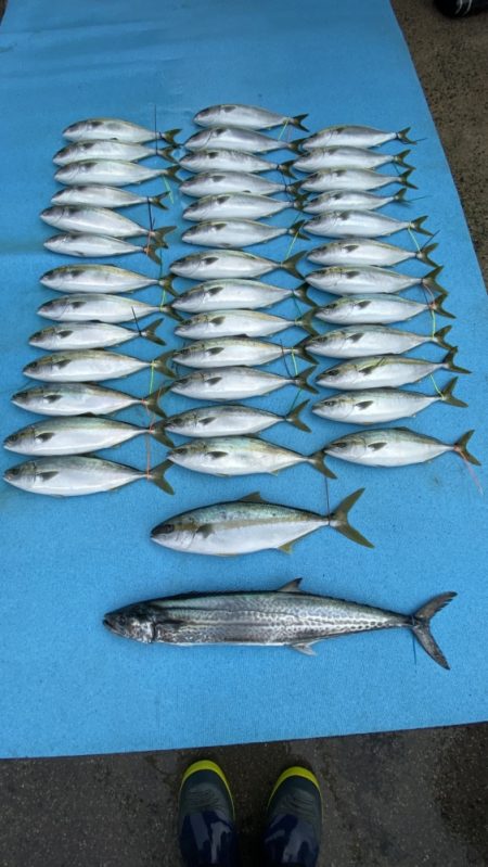 まるいち丸 ZERO-1 釣果