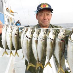 まとばや 釣果