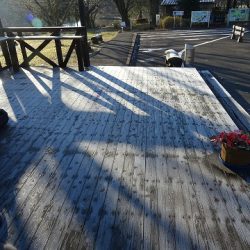 志高湖フィッシング 釣果