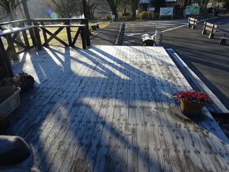 志高湖フィッシング 釣果