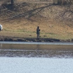 志高湖フィッシング 釣果