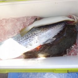 功成丸 釣果