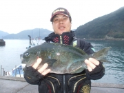 春日丸 釣果