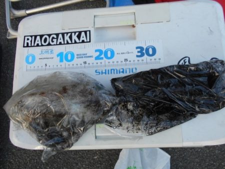 こかわ渡船　雅丸 釣果