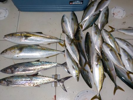 ＨＡＲＵＫＡ丸　はるかまる 釣果
