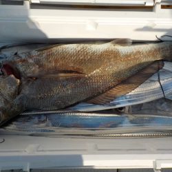 ＨＡＲＵＫＡ丸　はるかまる 釣果