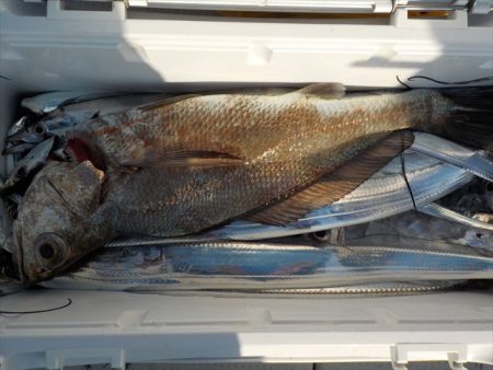 ＨＡＲＵＫＡ丸　はるかまる 釣果