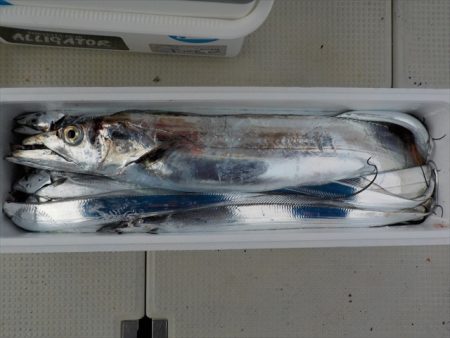 ＨＡＲＵＫＡ丸　はるかまる 釣果