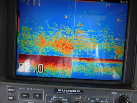 ジギング船 BLUEWATER 釣果