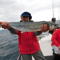 ジギング船 BLUEWATER 釣果