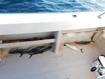 ジギング船 BLUEWATER 釣果