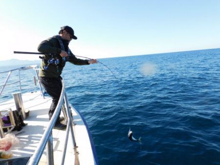 ジギング船 BLUEWATER 釣果