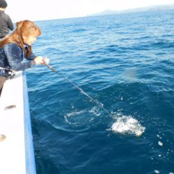 ジギング船 BLUEWATER 釣果
