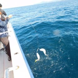 ジギング船 BLUEWATER 釣果