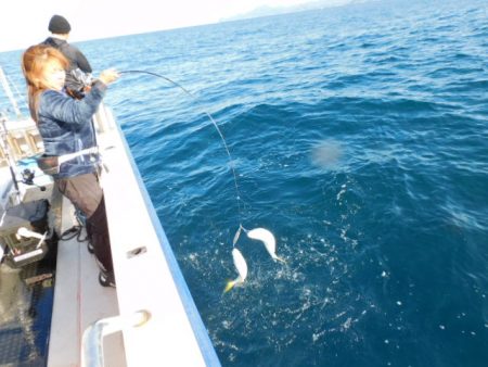 ジギング船 BLUEWATER 釣果