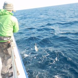 ジギング船 BLUEWATER 釣果