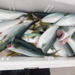 ジギング船 BLUEWATER 釣果