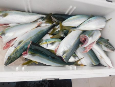 ジギング船 BLUEWATER 釣果