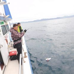 ジギング船 BLUEWATER 釣果