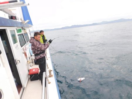 ジギング船 BLUEWATER 釣果