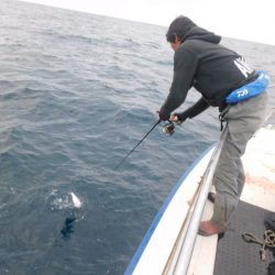 ジギング船 BLUEWATER 釣果