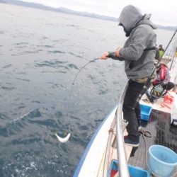 ジギング船 BLUEWATER 釣果