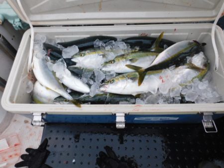 ジギング船 BLUEWATER 釣果