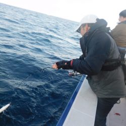 ジギング船 BLUEWATER 釣果