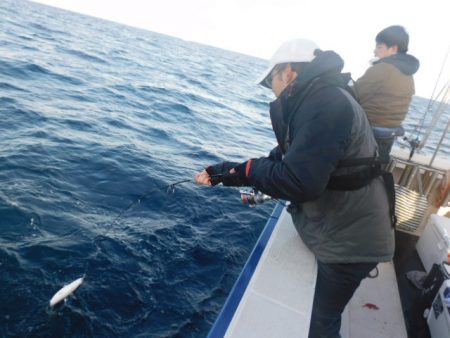 ジギング船 BLUEWATER 釣果