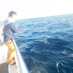 ジギング船 BLUEWATER 釣果