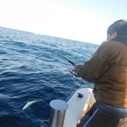 ジギング船 BLUEWATER 釣果