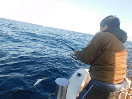 ジギング船 BLUEWATER 釣果