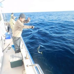 ジギング船 BLUEWATER 釣果