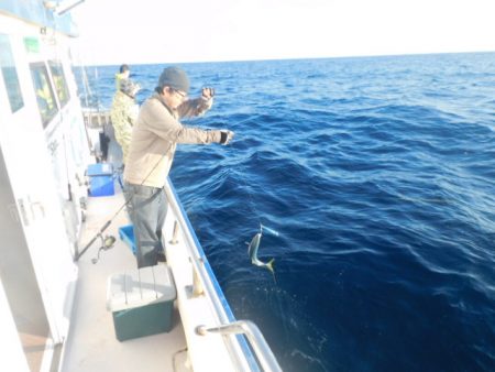 ジギング船 BLUEWATER 釣果