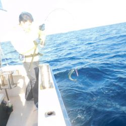 ジギング船 BLUEWATER 釣果